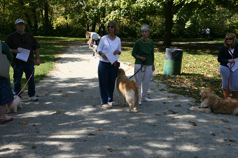 Random Rippling - St. Paul's pet blessing