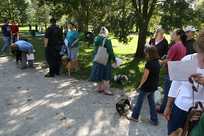 Random Rippling - St. Paul's pet blessing