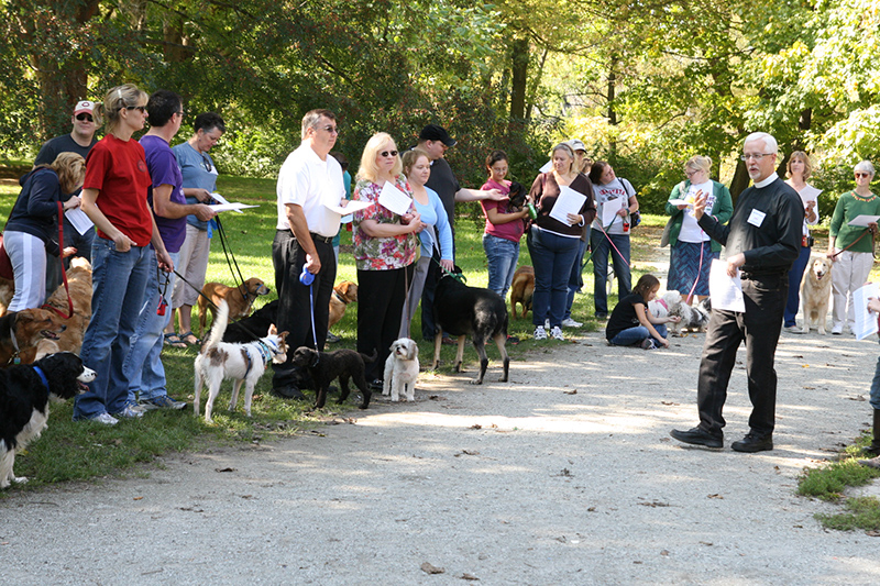 Random Rippling - St. Paul's pet blessing