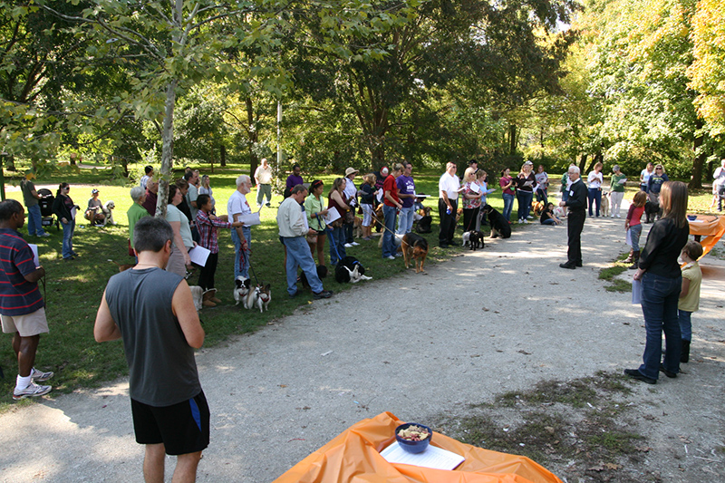 Random Rippling - St. Paul's pet blessing