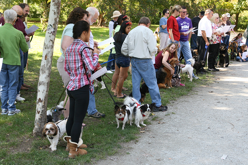 Random Rippling - St. Paul's pet blessing