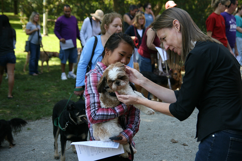 Random Rippling - St. Paul's pet blessing