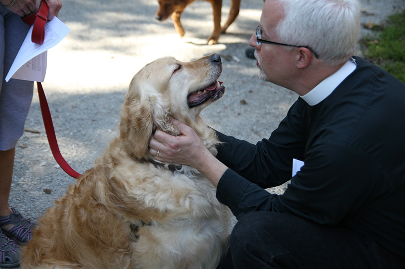 Random Rippling - St. Paul's pet blessing