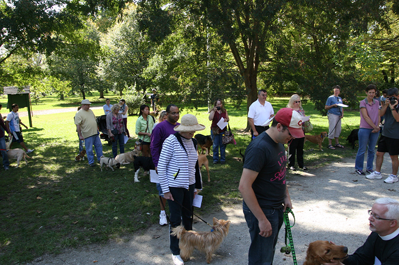 Random Rippling - St. Paul's pet blessing