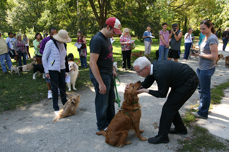 Random Rippling - St. Paul's pet blessing