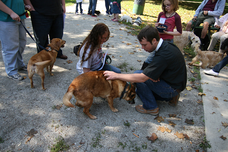 Random Rippling - St. Paul's pet blessing