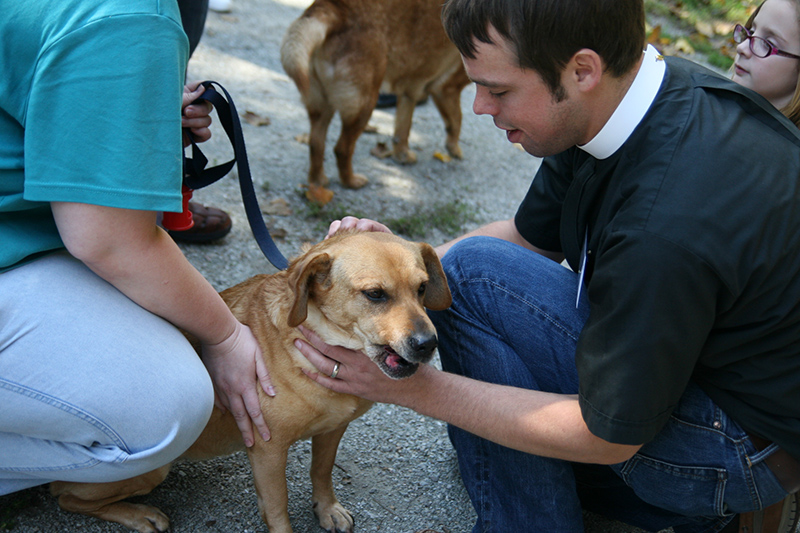 Random Rippling - St. Paul's pet blessing