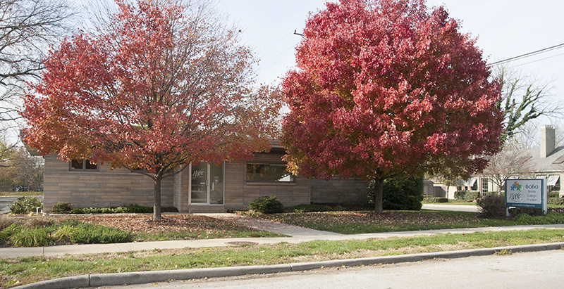 Noble of Indiana - Broad Ripple renovation - By Mario Morone