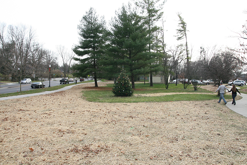 Alice Carter Place re-dedication