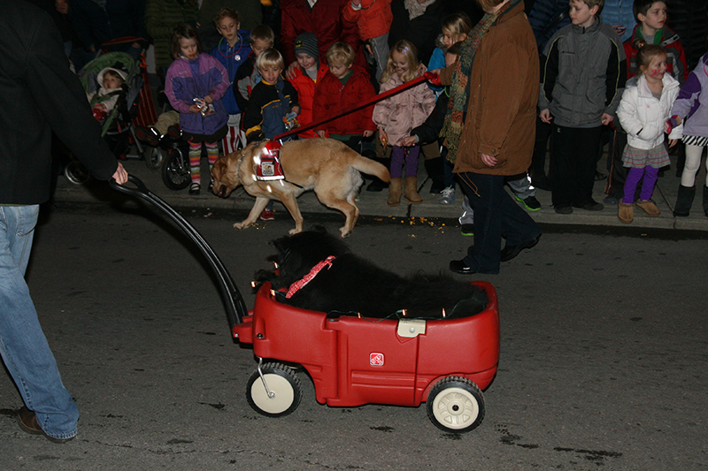 2012 Lights Up! Parade