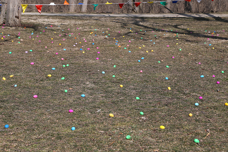 Random Rippling - Carpenter Realty Easter Egg Hunt