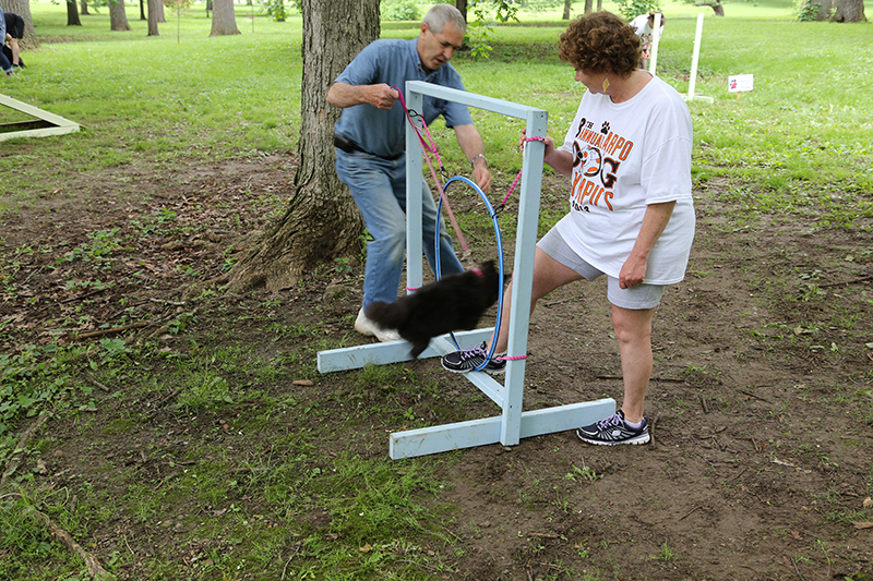 Random Rippling - Pet Olympics