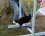 image 3291