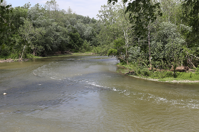 Random Rippling - White River dam reconstruction and high waters