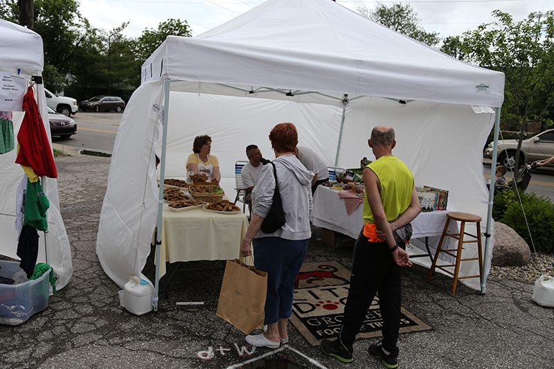 Random Rippling - 54th and Monon Art Fair