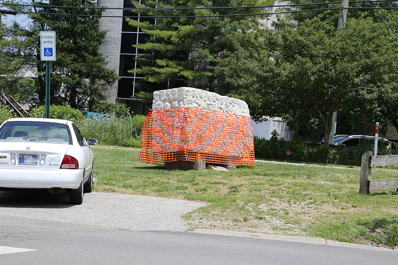 Frog's Random Rippling - Faces sculpture
