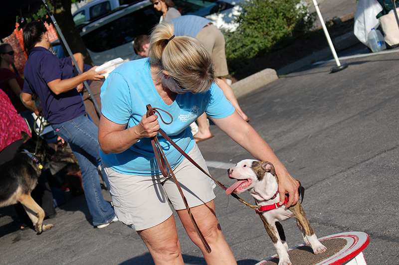 A local Broad Ripple resident meets a beagle named Harvey and a Goldendoodle named Sandy from the animal shelter, Waldo's Muttley Crew.