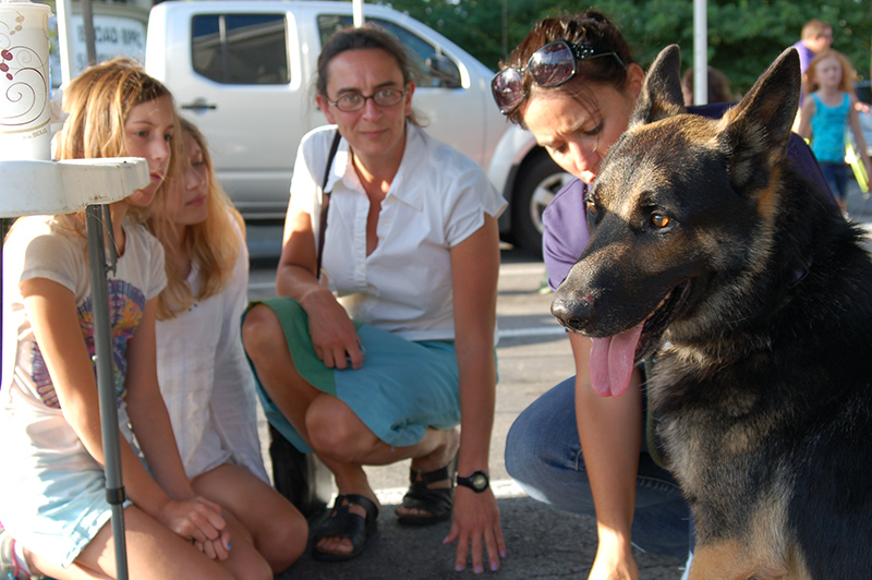 Tails and Ales - by Alison Graham