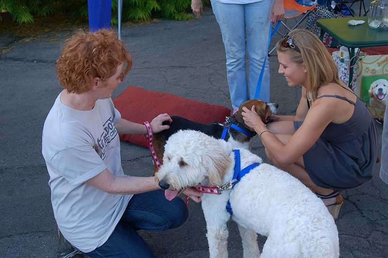 This adoptable puppy is introduced to the crowd at Tails and Ales by a volunteer from ARPO (Alliance for Responsible Pet Ownership).