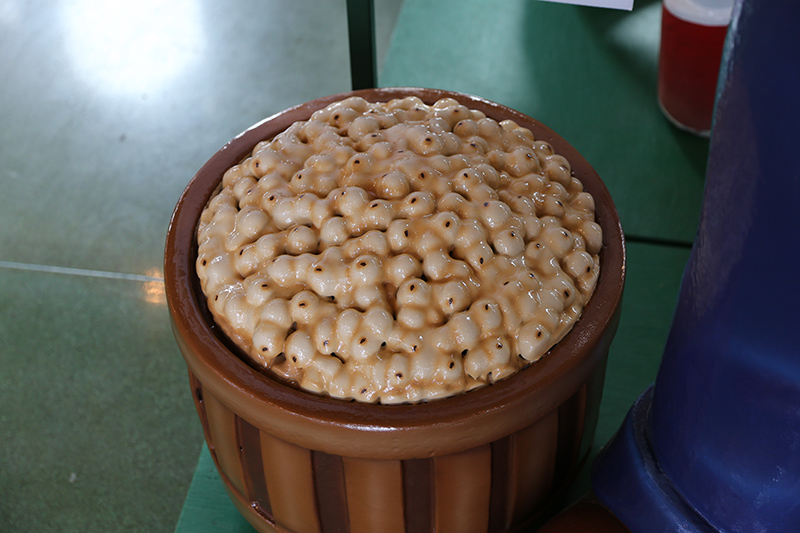 Indiana State Fair 2013