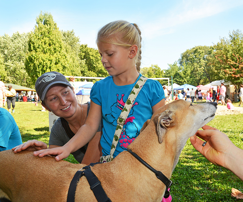 Rocky Ripple Fest 2013
