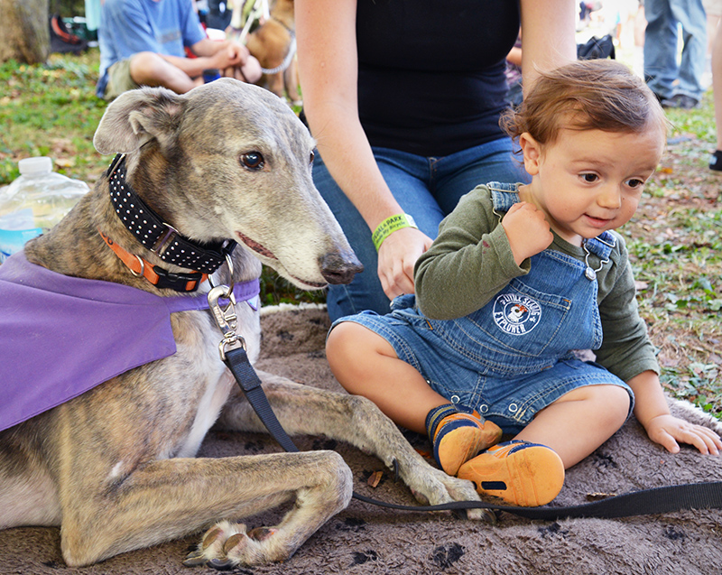 Rocky Ripple Fest 2013