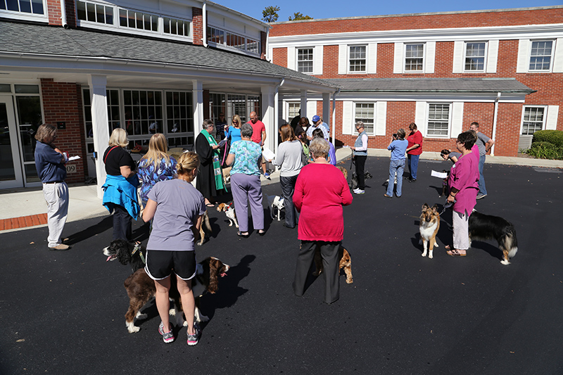 Random Rippling - Northminster pet blessing
