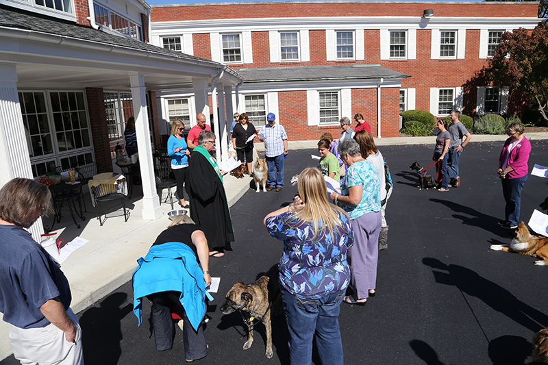 Random Rippling - Northminster pet blessing