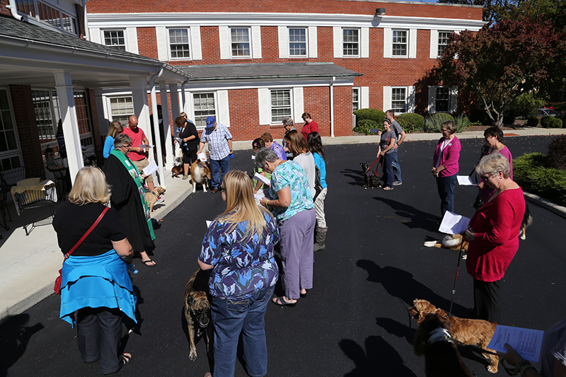 Random Rippling - Northminster pet blessing