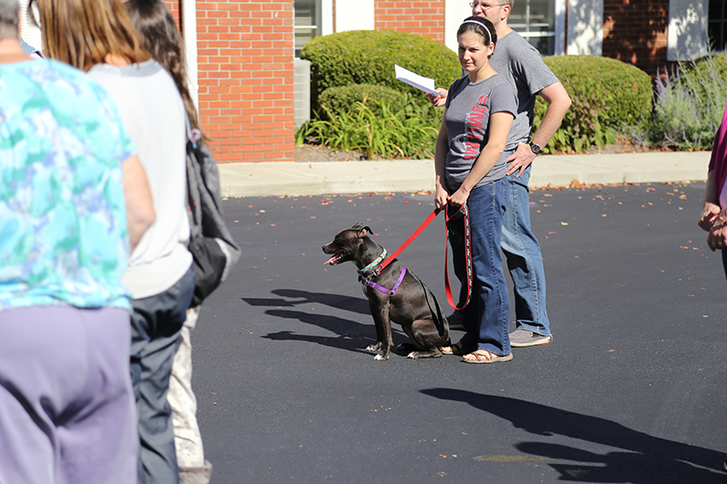 Random Rippling - Northminster pet blessing