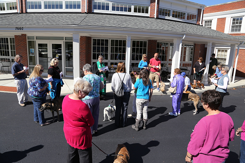 Random Rippling - Northminster pet blessing