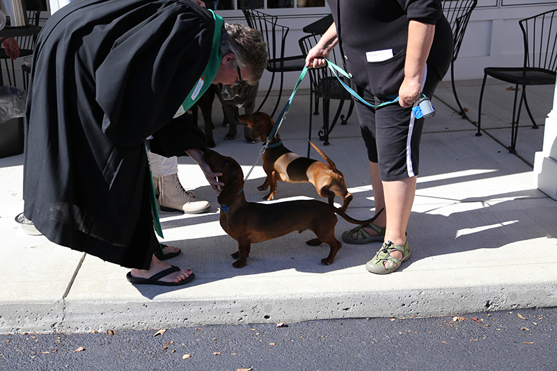 Random Rippling - Northminster pet blessing