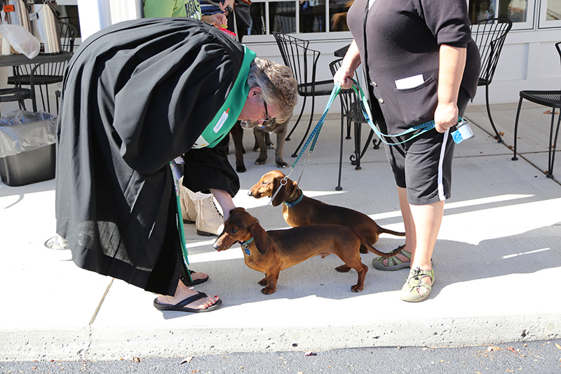 Random Rippling - Northminster pet blessing
