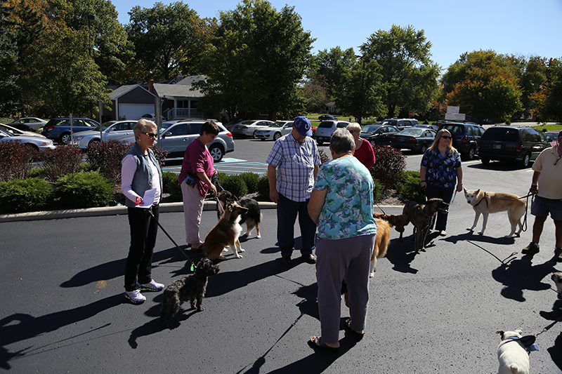 Random Rippling - Northminster pet blessing