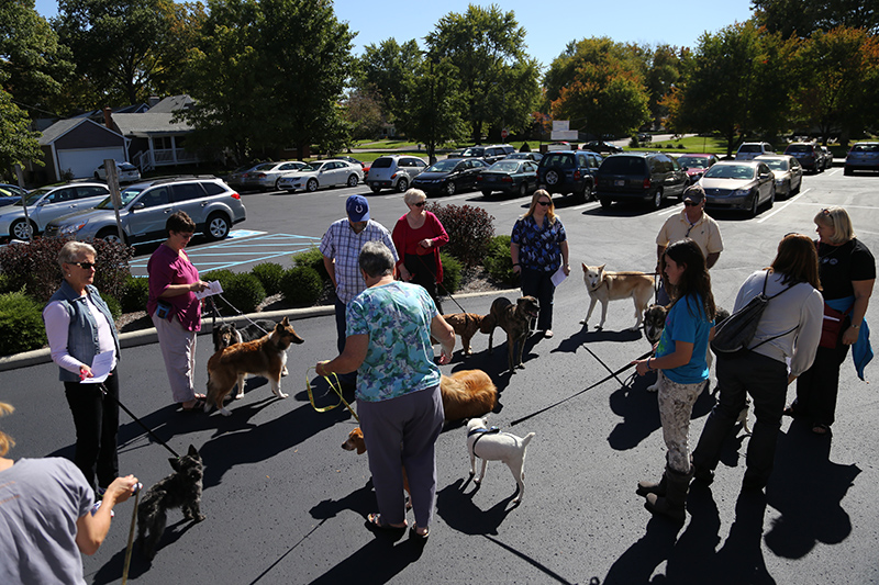 Random Rippling - Northminster pet blessing