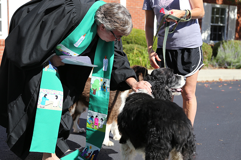 Random Rippling - Northminster pet blessing
