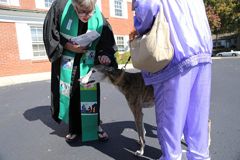 Random Rippling - Northminster pet blessing