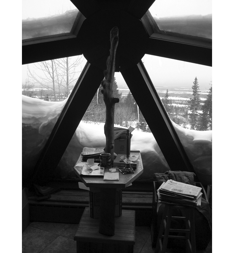 Poetic Thoughts - Slow Eating With ANIMAL and Buckminster Fuller - by C.W. Pruitt II 