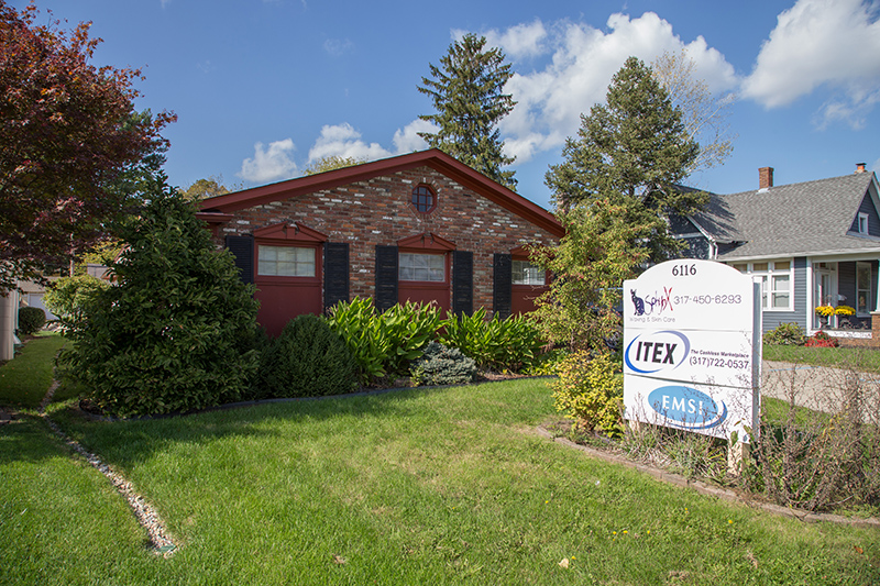 Random Rippling - Sphynx Spa opens