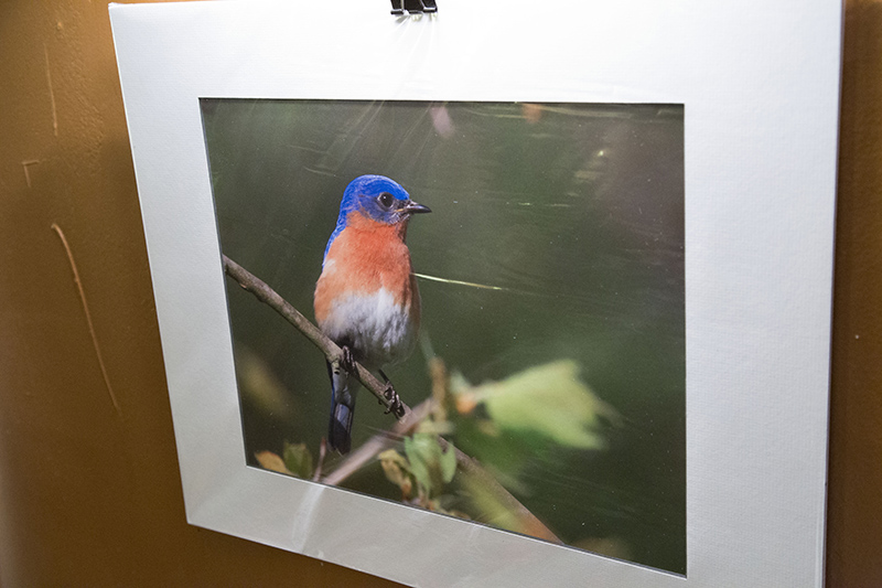 Random Rippling - Bill Brink photography show