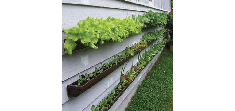 Vertical gardening in gutters attached to a garage