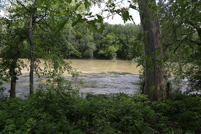 The White River was very high