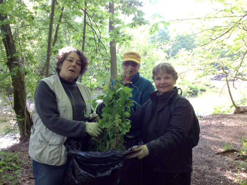 Rita Hupp, Mary Durkin, and Ruth Ann Ingraham, co-founder of INPAWS, attacking the garlic.