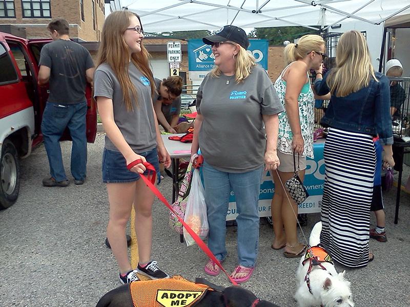 Two rescued doggies to adopt showcased by ARPO at the Farmers Market.