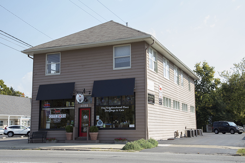 Random Rippling - City Dogs Grocery open 