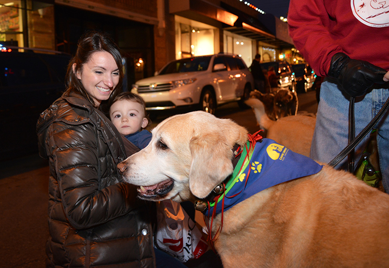 A Canine Companions for Independence dog