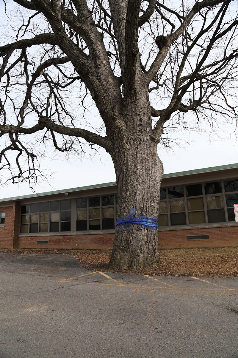 Random Rippling - Blue Ribbon School