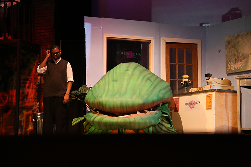 Random Rippling - Little Shop of Horrors at BRHS