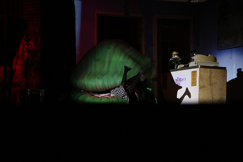 Random Rippling - Little Shop of Horrors at BRHS