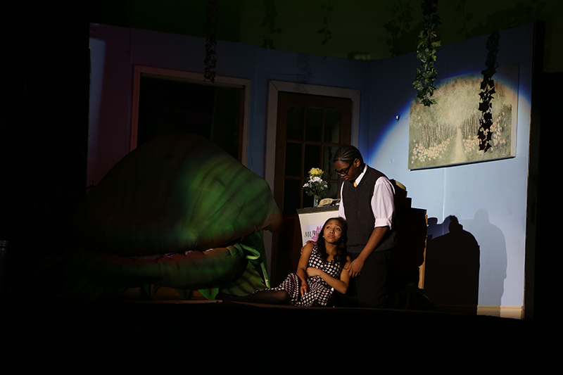 Random Rippling - Little Shop of Horrors at BRHS